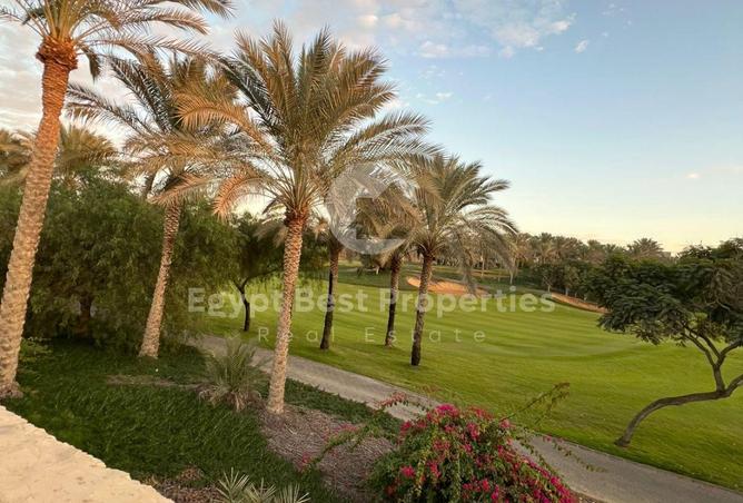 98834895 - صورة العقار 2