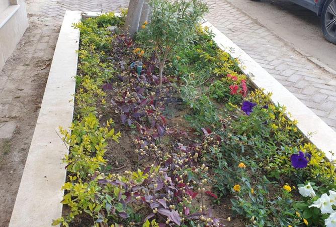 53226926 - Property Image 2