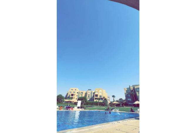 55761541 - Property Image 3