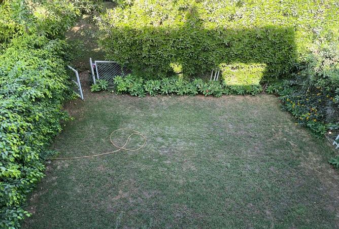 8505159 - صورة العقار 2