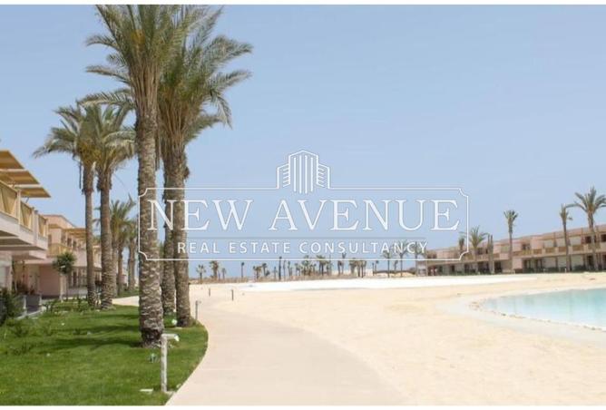 57237704 - Property Image 3