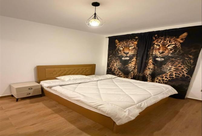 60711640 - Property Image 2