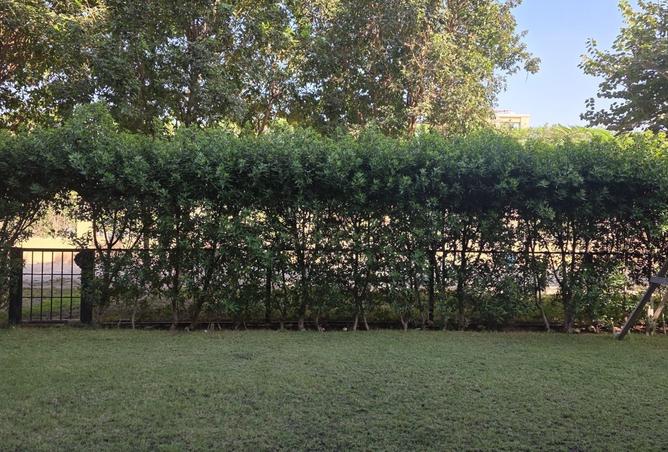 100921276 - الصورة الرئيسية للعقار