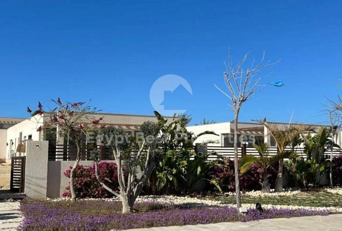 90181850 - صورة العقار 2