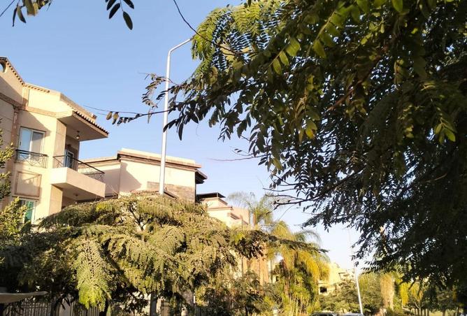 8714239 - Property Image 2