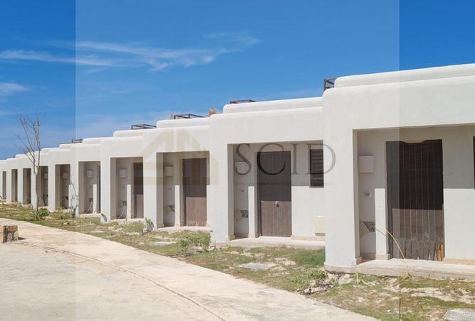 83992023 - Property Image 2