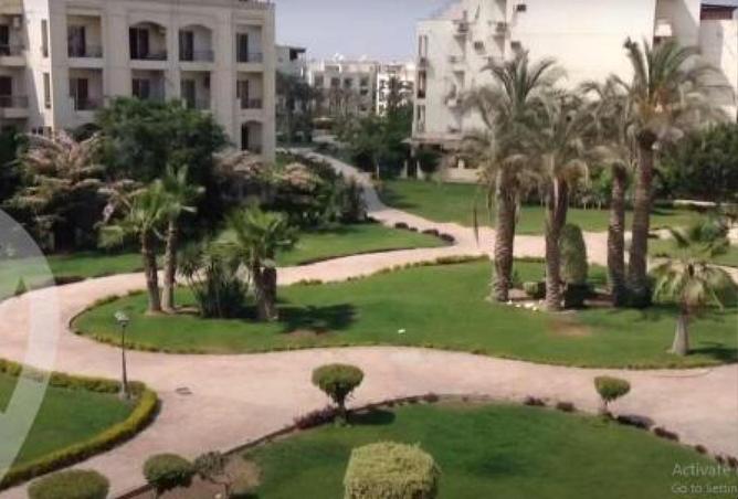 52199168 - صورة العقار 3