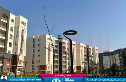 Apartment - 3 Bedrooms - 2 Bathrooms for sale in Alex West - Alexandria Compounds - Alexandria