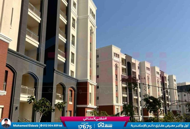 8591496 - Property Image 2