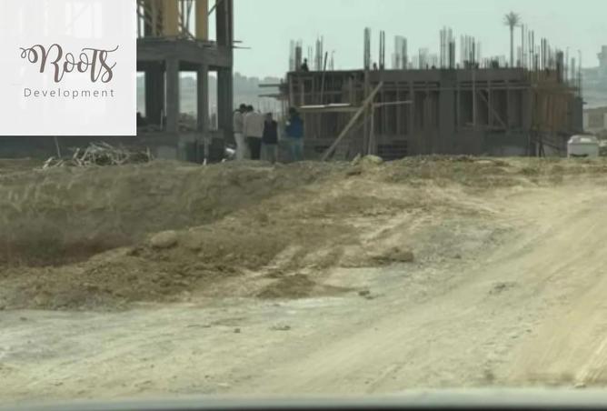 54238619 - Property Image 3