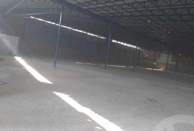 53218033 - صورة العقار 3