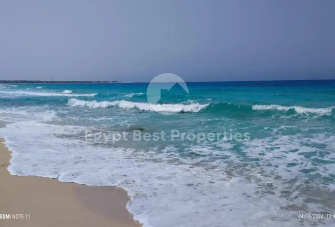 113826053 - صورة العقار 2