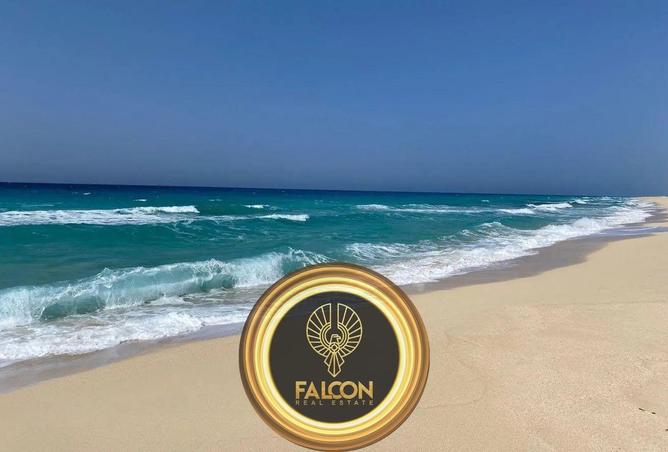 8597799 - صورة العقار 2