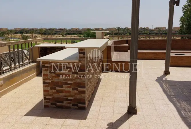 113247579 - Property Image 3