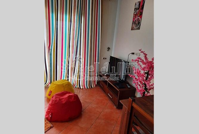 8606457 - Property Image 3