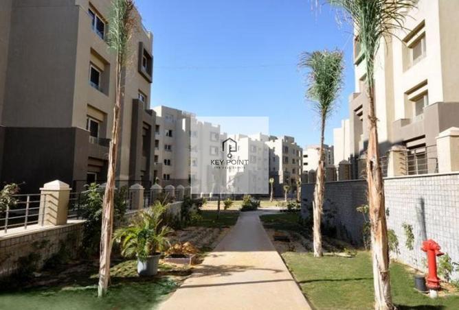 57235835 - Property Image 3