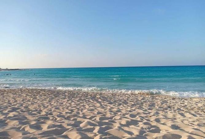 8538052 - صورة العقار 2