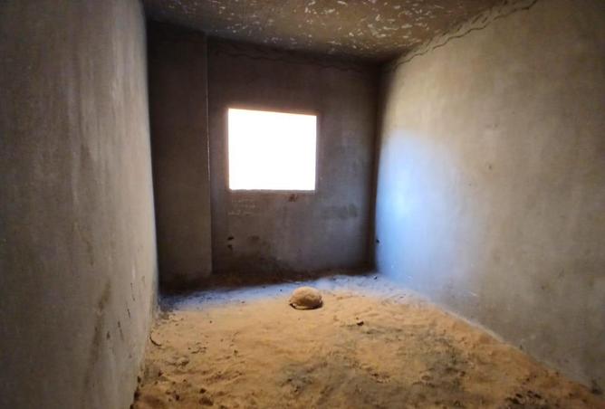 57740576 - Property Image 3