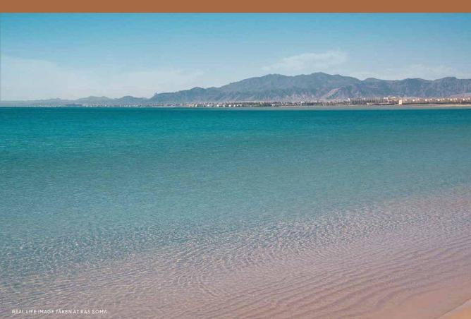 8239662 - صورة العقار 3