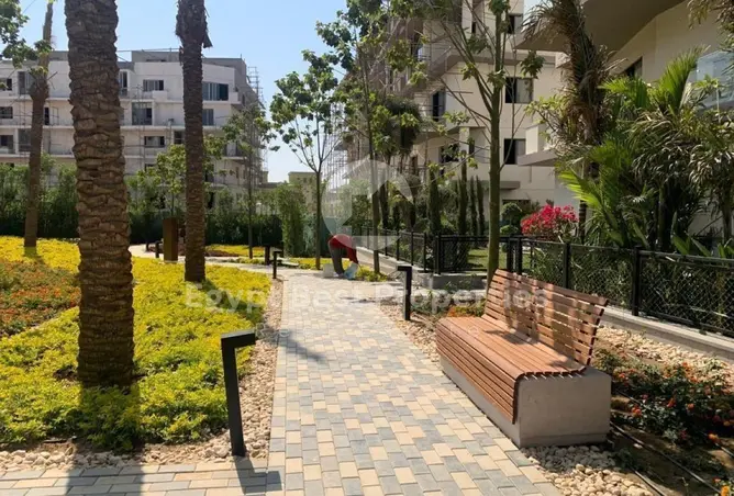 115436660 - صورة العقار 2