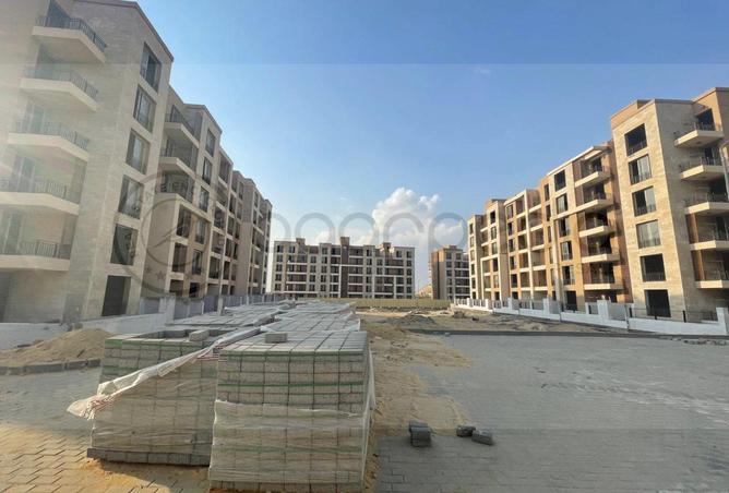 54241032 - Property Image 3