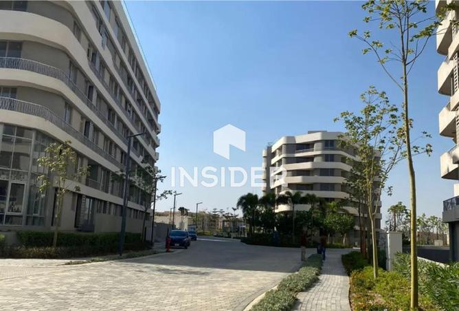 63890747 - Property Image 3