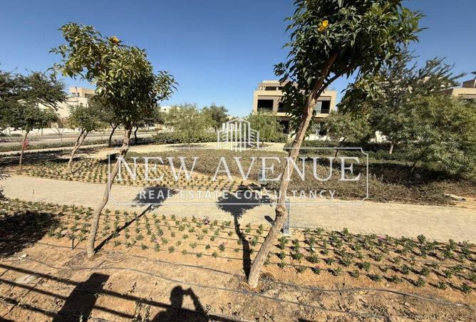 70877465 - صورة العقار 3