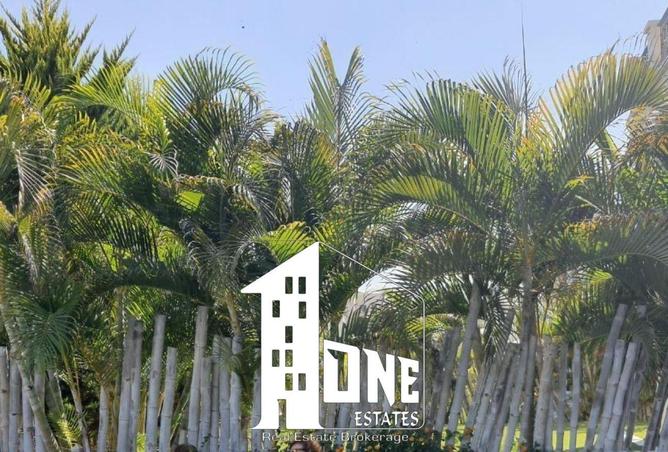 53734989 - Property Image 2