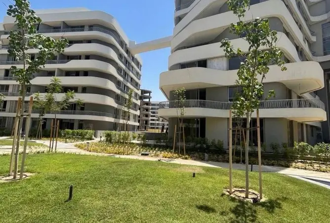 95762752 - Property Image 3