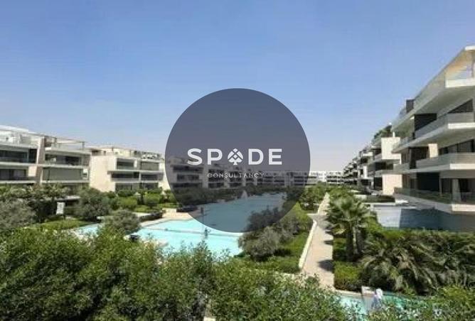 67996858 - صورة العقار 3