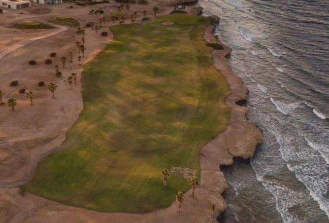 61446281 - Property Image 3