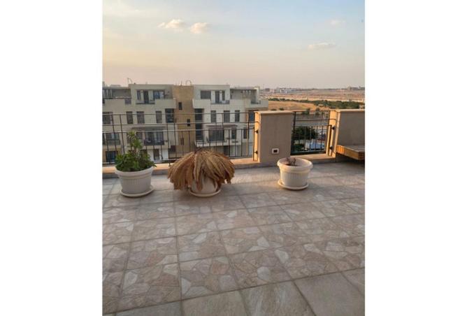 64647139 - Property Image 3