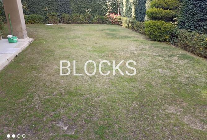 57738354 - صورة العقار 2