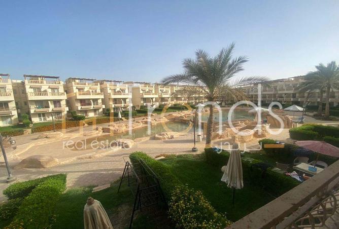 81567791 - الصورة الرئيسية للعقار