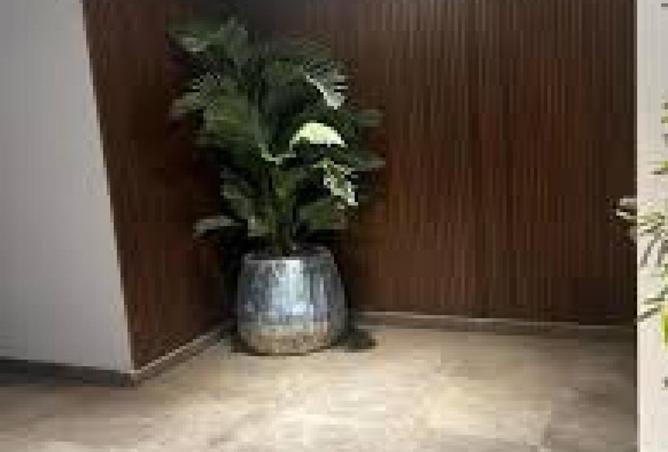 8499149 - Property Image 3