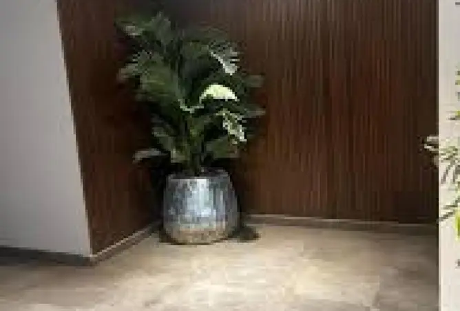 8499149 - صورة العقار 3
