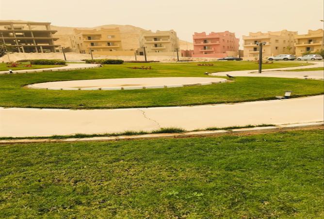 67223157 - صورة العقار 2