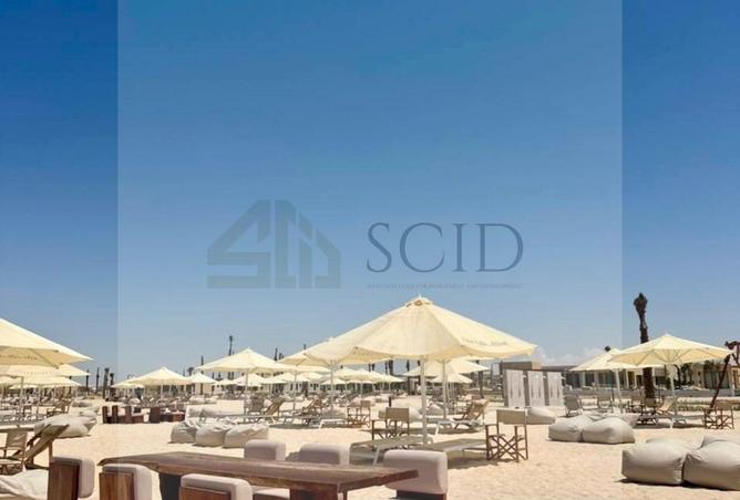 92689377 - Property Image 3