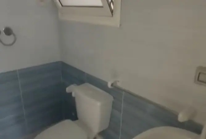 114882651 - Property Image 3