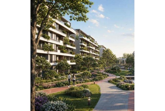 81314327 - Property Image 3