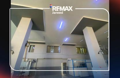 Factory - Studio - 2 Bathrooms for rent in Industrial Zone St   Al Central Road - Industrial Area - 6 October City - Giza