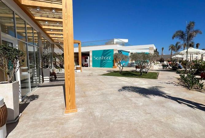 52721354 - Property Image 3