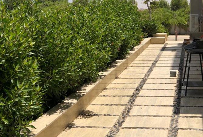 62402280 - صورة العقار 3