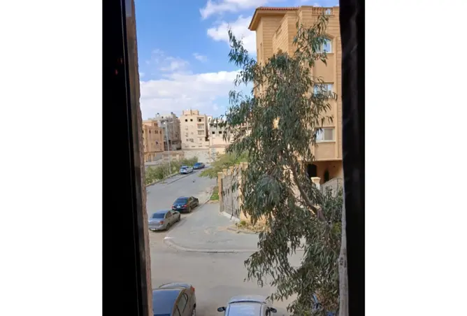 113822936 - صورة العقار 3