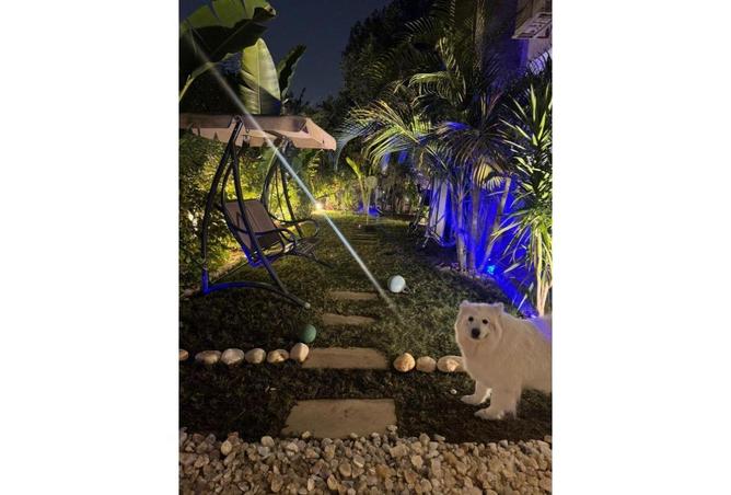 65656568 - صورة العقار 2