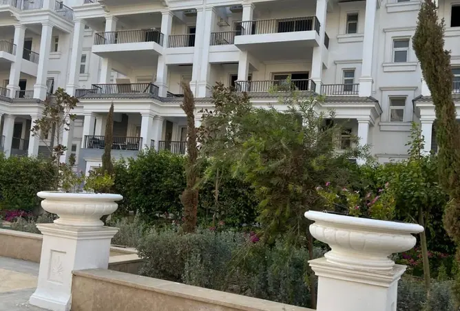 113819206 - صورة العقار 2