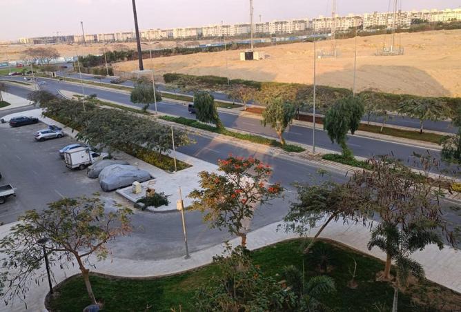 66382781 - الصورة الرئيسية للعقار