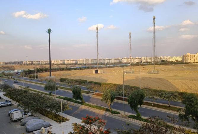 66382781 - صورة العقار 2