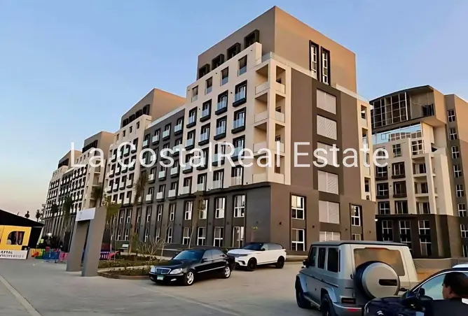 116739833 - Property Image 3