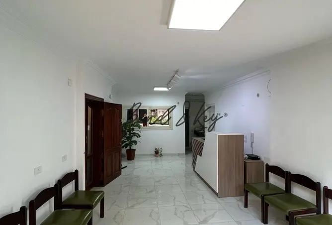 99122219 - Property Image 3